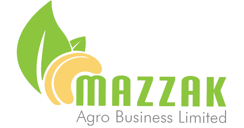 logo (1)